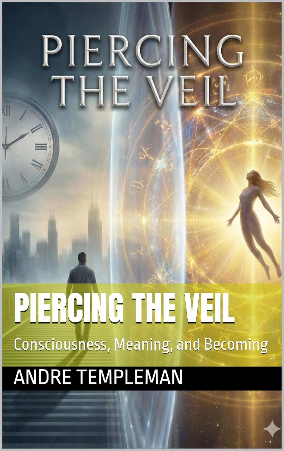 Piercing the Veil book cover